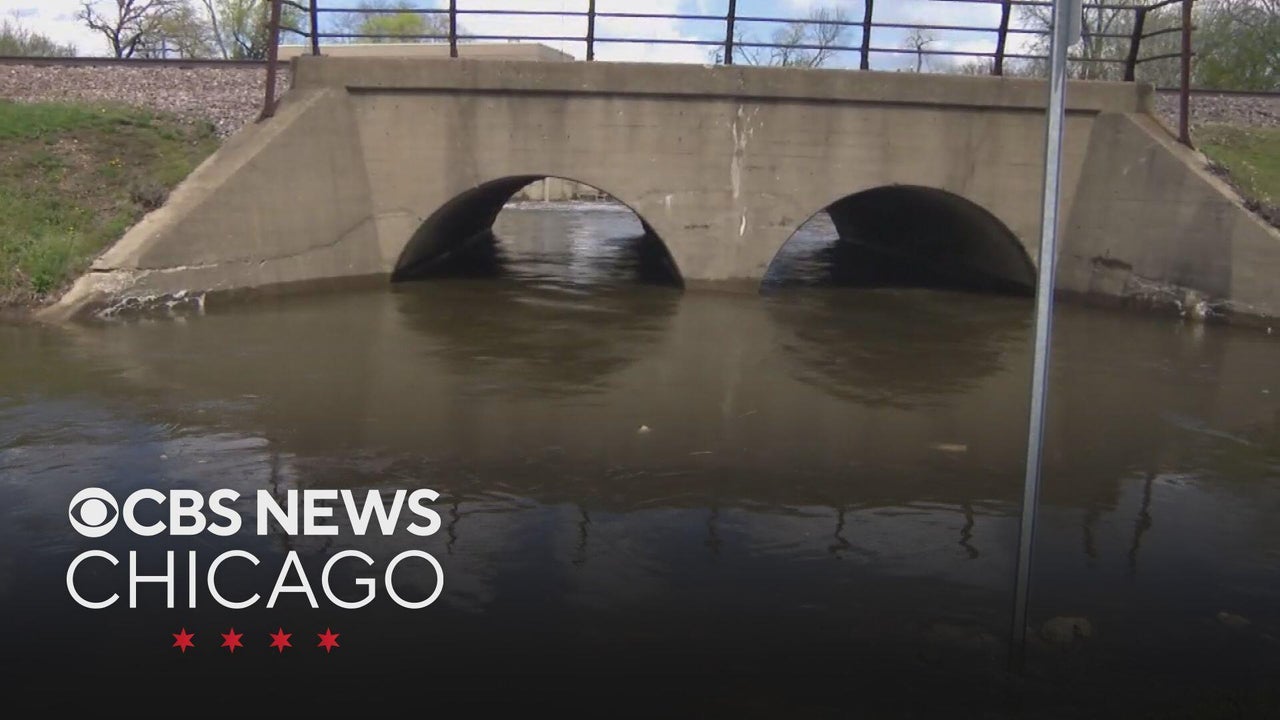 Near-record flooding as water levels rise along Des Plaines River