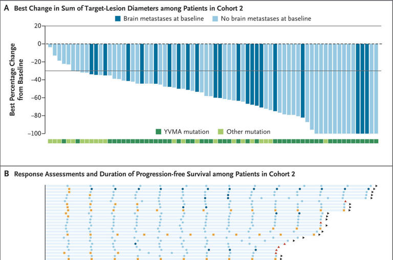 First-line targeted therapy shows antitumor activity in patients with ...