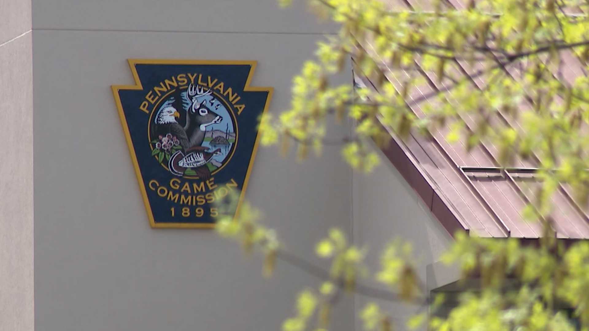 'We deserve better': Deputy game wardens react after Pennsylvania ends ...