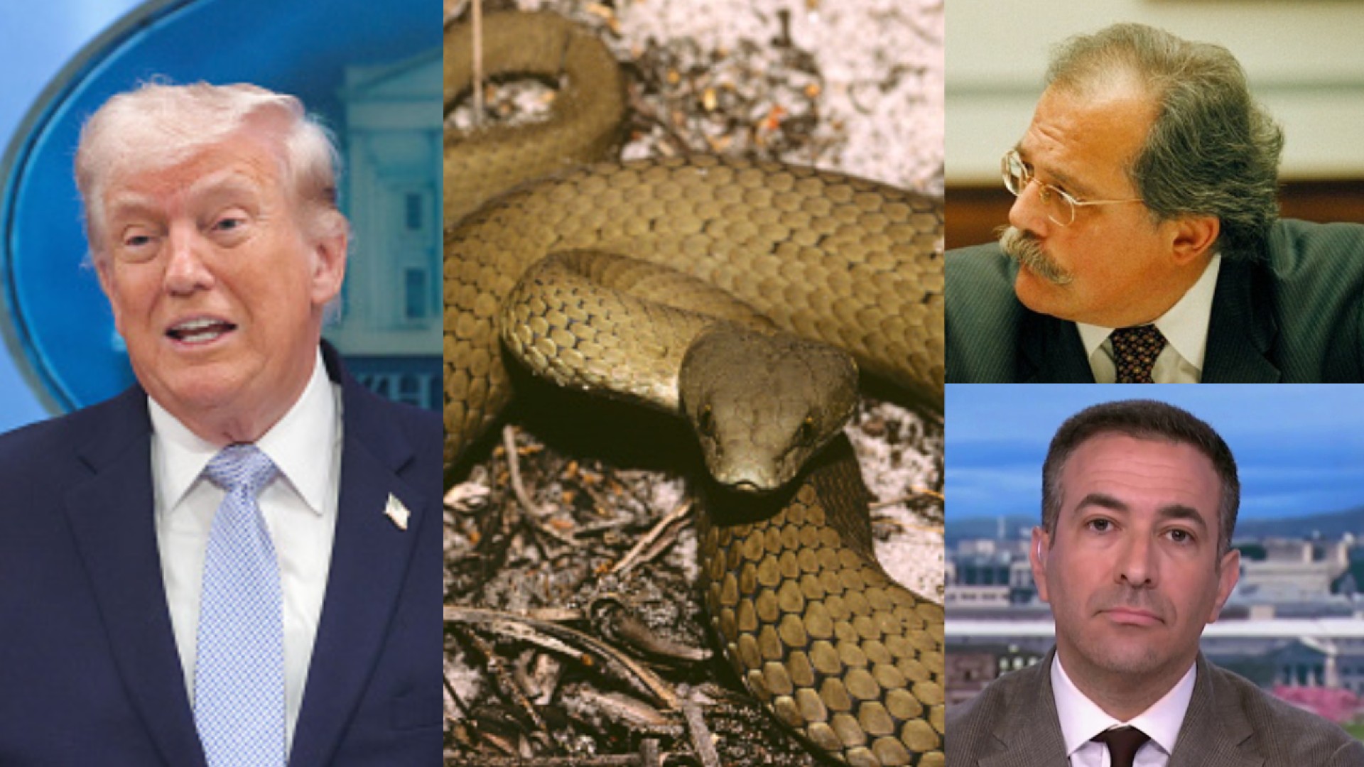 Snakes & 'insane' rants: See Trump's decline as reported by NYT, WH vet ...