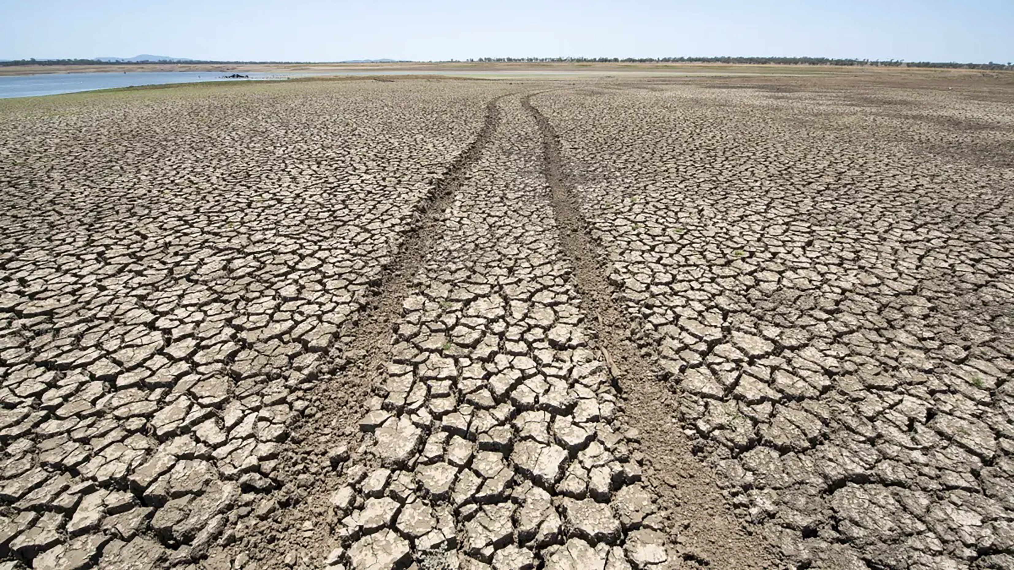 Dire long-range rain forecast farming.
