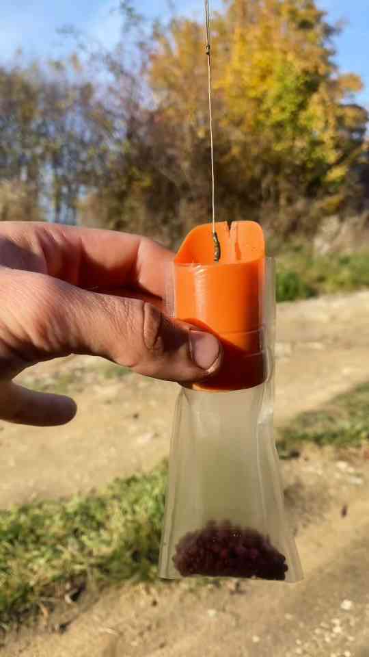 This fishing montage shows perfect carp rig setups
