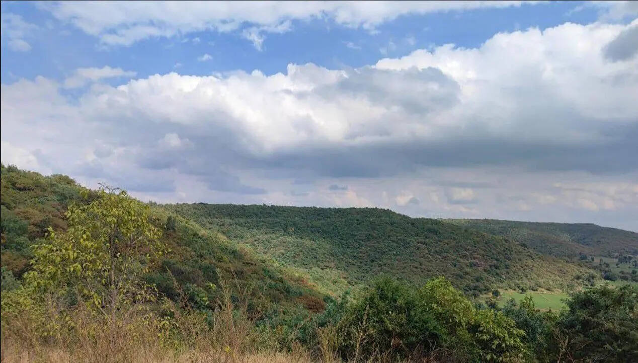 Scorching Chittapur secures green haven as Karnataka’s wildlife reserve