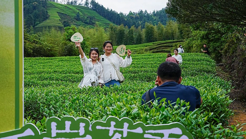 Why white tea deserves a spot in your kitchen