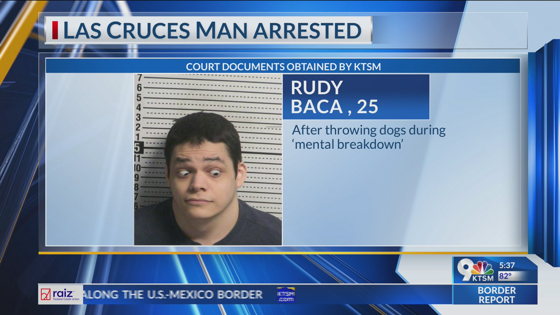 Man arrested after throwing dogs during 'mental breakdown'