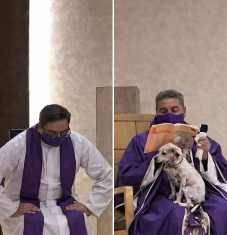 Durante la messa tiene in braccio il cane malato e divide i fedeli: il ...