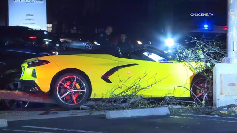 Pursuit ends in Torrance after Corvette driver crashes into tree and pole
