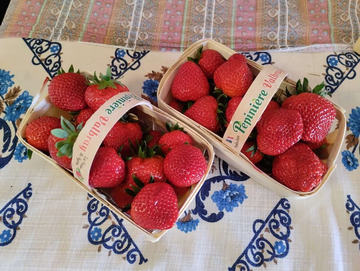 Var : les fruits et légumes de saison à manger en juin 2026