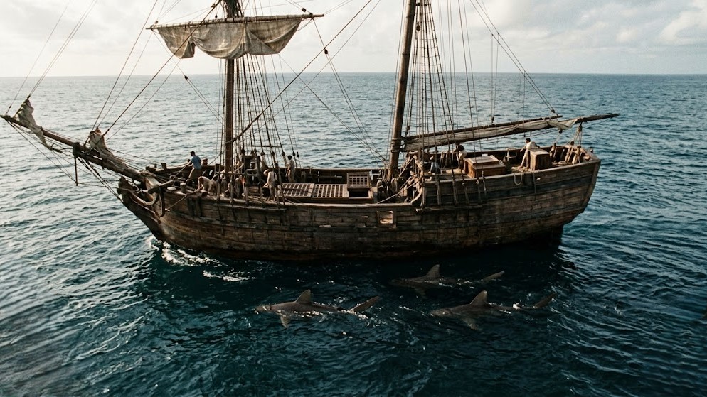 The truth about sharks and the slave trade