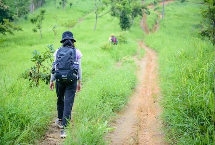 10 life-saving tricks to escape the woods without fancy tools
