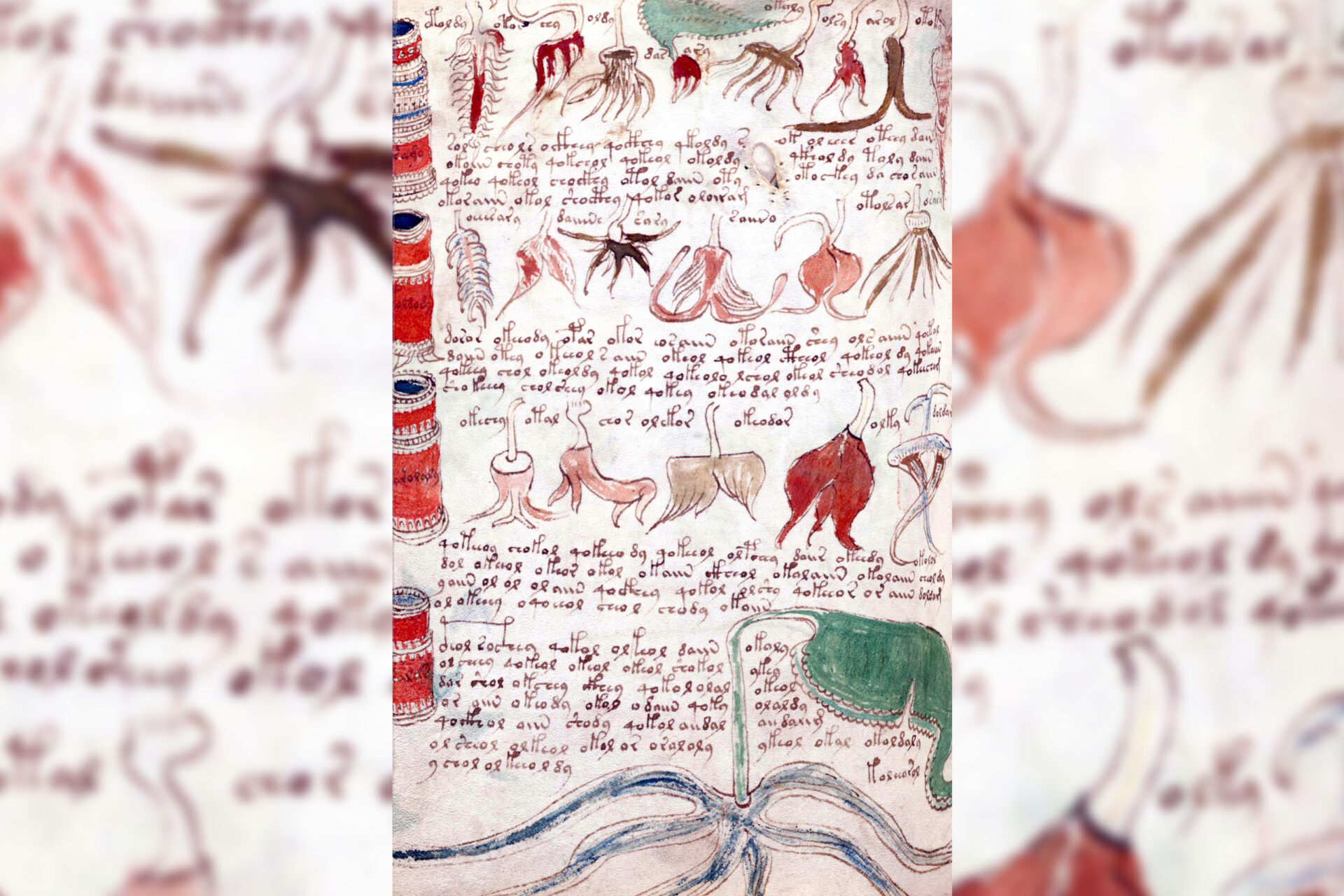 L’enigma che circonda il manoscritto Voynich, il libro indecifrabile