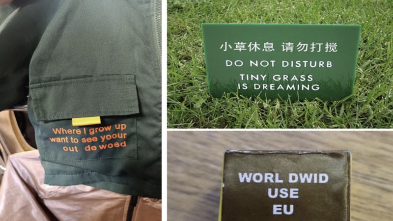 22 times translation mistakes made things way more interesting