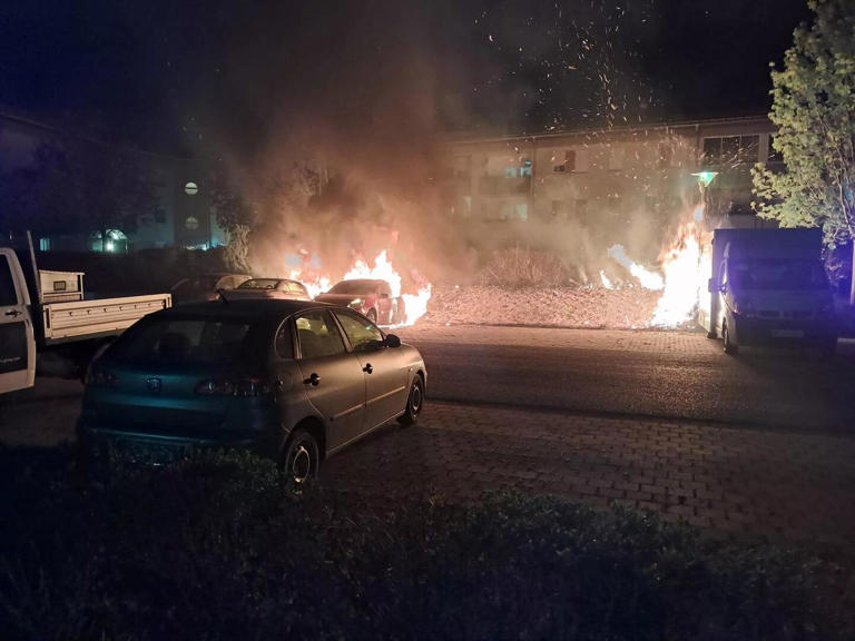 Fahrzeugbrand: Fünf Autos in Flammen, Feuerwehr im Großeinsatz.