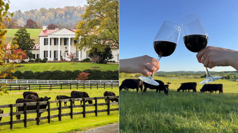 The best farm day trips near DC