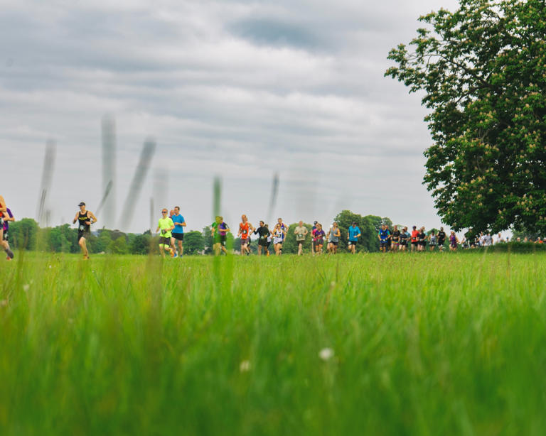 Runners chase the golden carrot at this year’s Run Rabbit Trail Festival