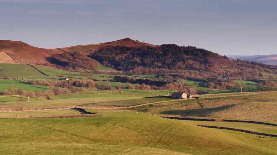 When humans step back, nature moves in - rewilding could restore lost ...