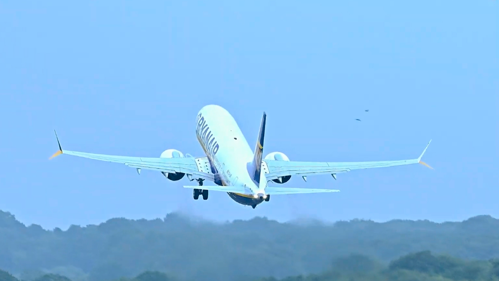 Bird strike moment caught on camera