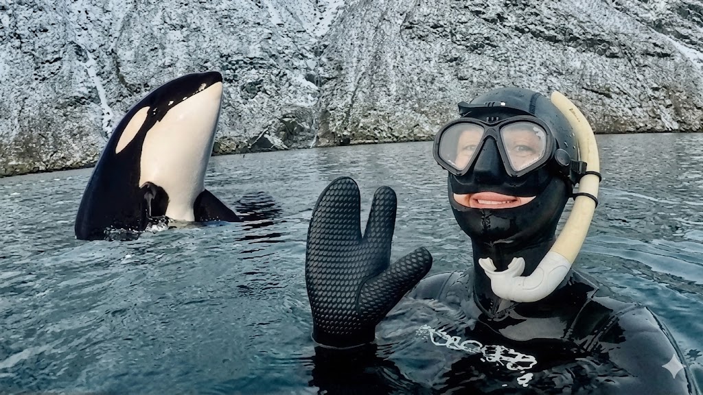 Jumped in with orcas… then they came closer