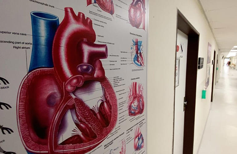 Deep inside the heart: The innovative catheter designed to ...