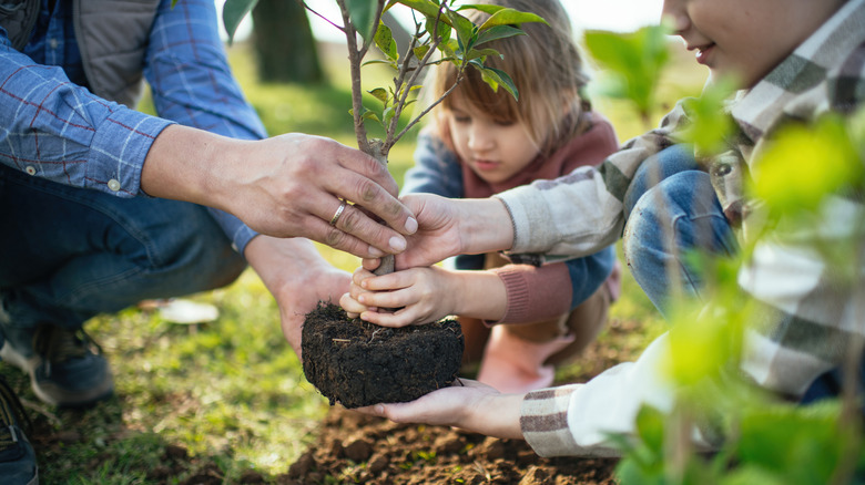 Set your garden up for success: Spring tasks based on growing zone