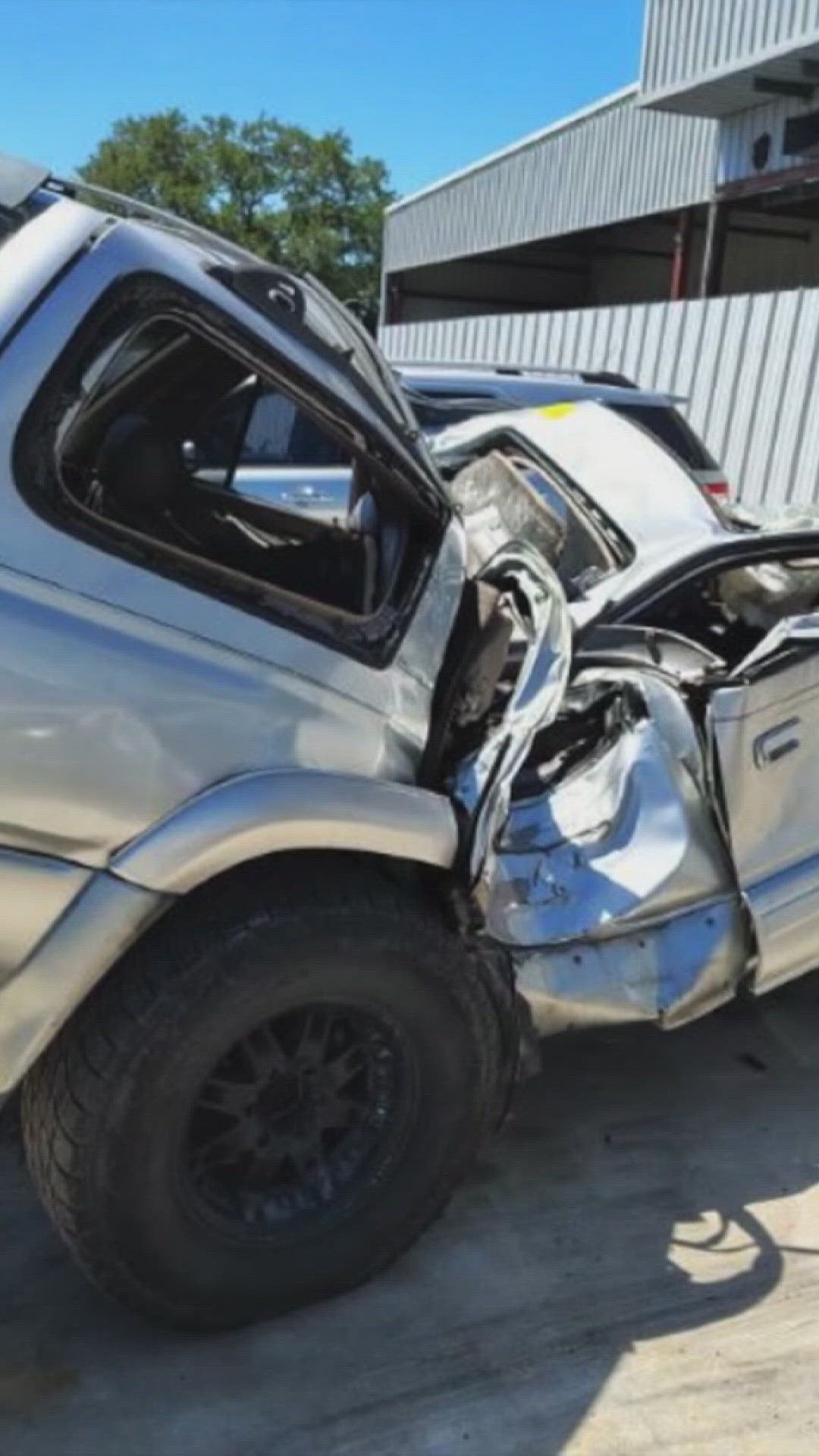 Florida woman survives rollover crash involving alligator