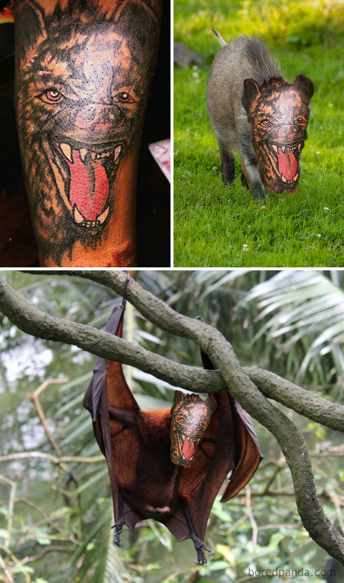 26 Times People Didn’t Even Realize How Bad Their Tattoos Were