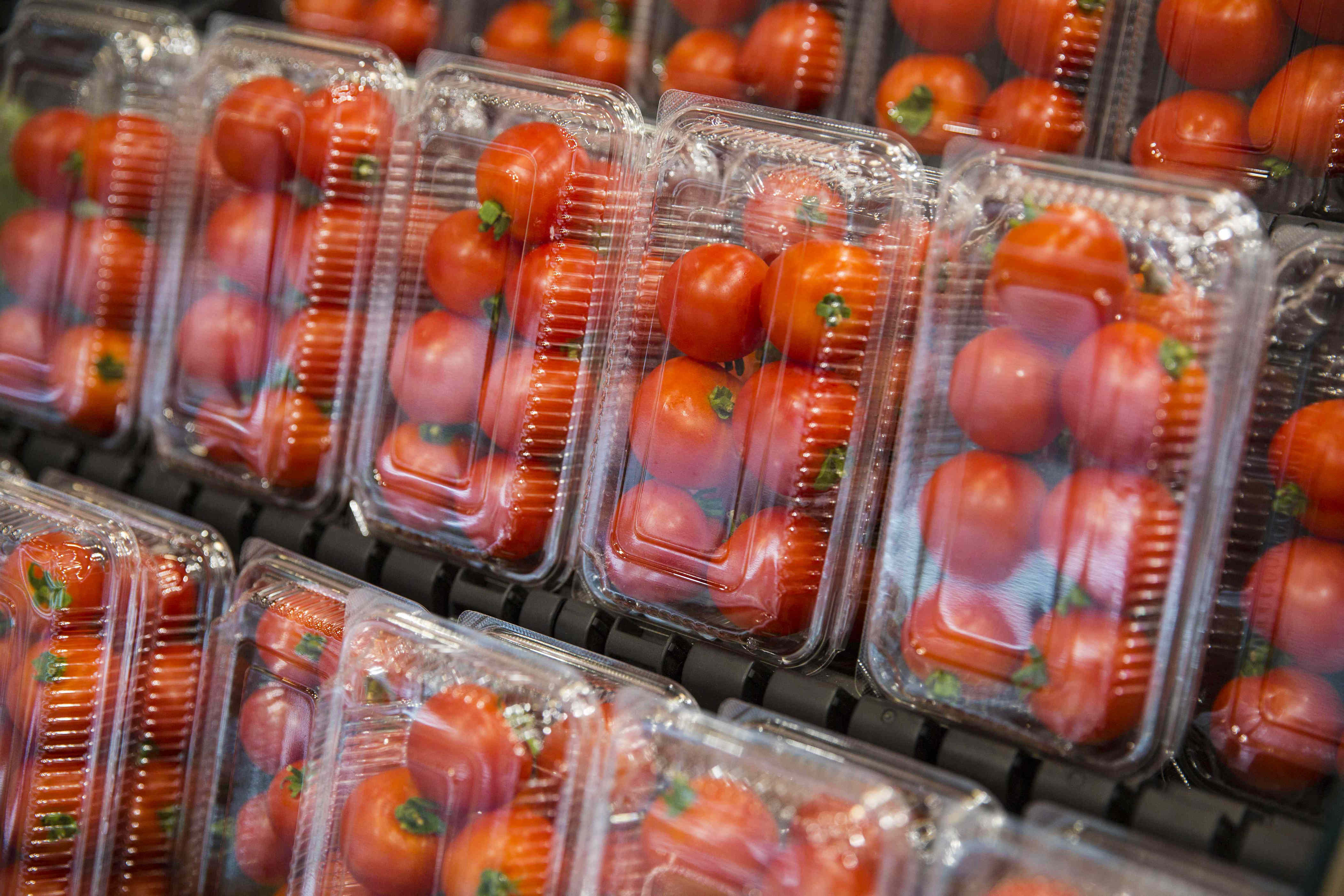 I Tried 6 Types of Grocery Store Tomatoes, and Here’s the Two I’d Buy Again