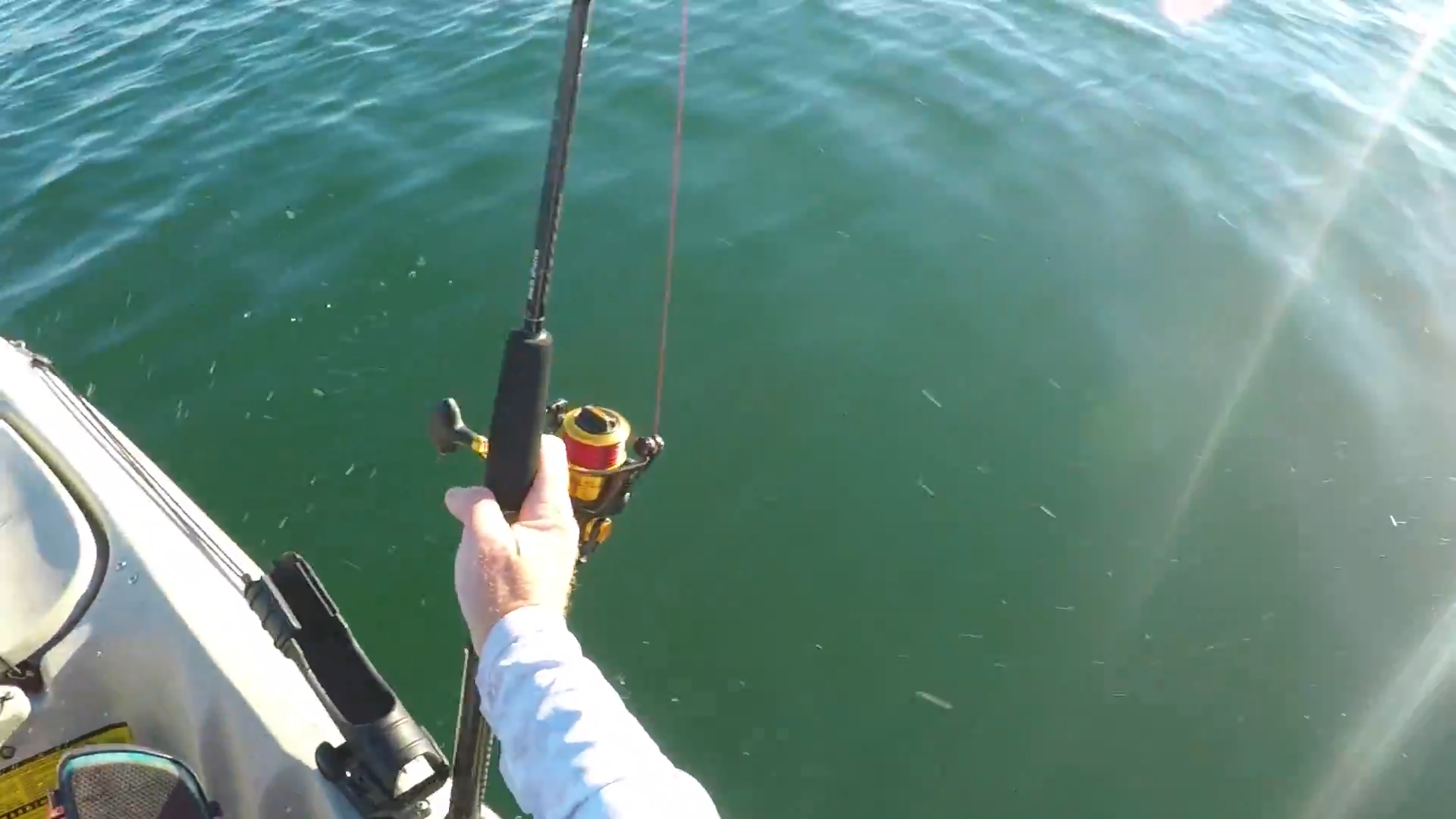 He thought it was another small fish until it started pulling hard