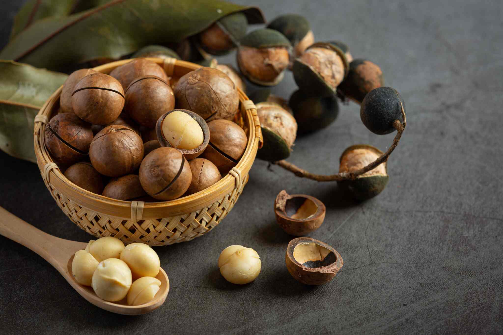 Benefits of macadamia nuts: Small habit, real difference