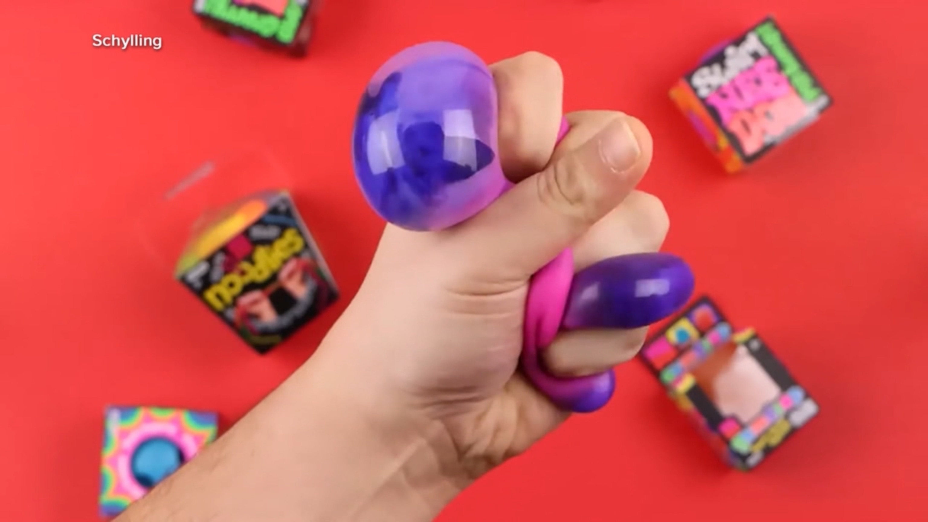 NeeDohs take over as new viral toy