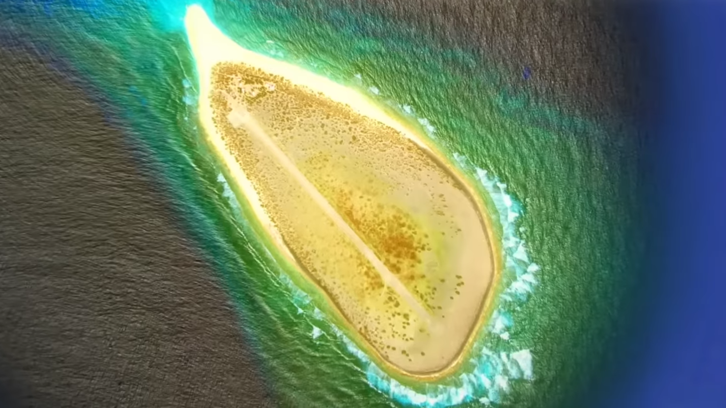 This island is just 1.3 million people - but outperformed bigger nations