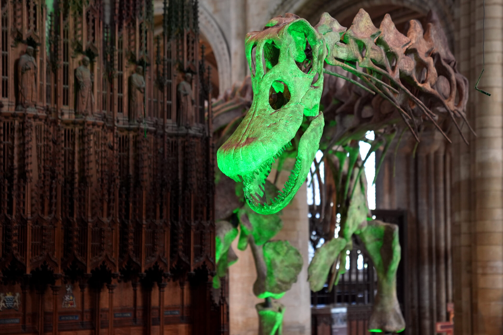 a-giant-dinosaur-currently-resides-in-a-uk-cathedral