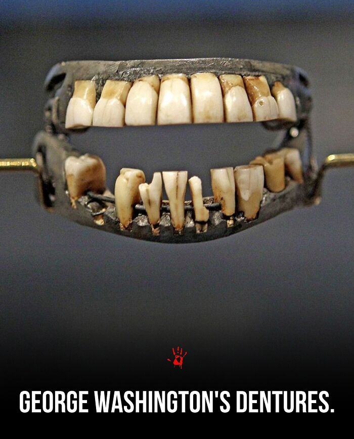 26 Pieces Of “Morbid Knowledge” For People Who Love Creepy Facts