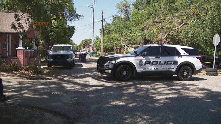 Attempted murder suspects accused of shooting 2 teens in Tampa arrested ...