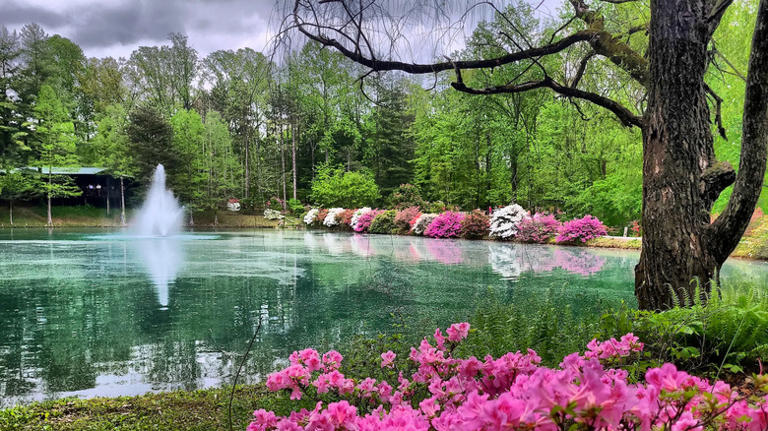 Indiana's botanical garden between Louisville and St. Louis blossoms ...