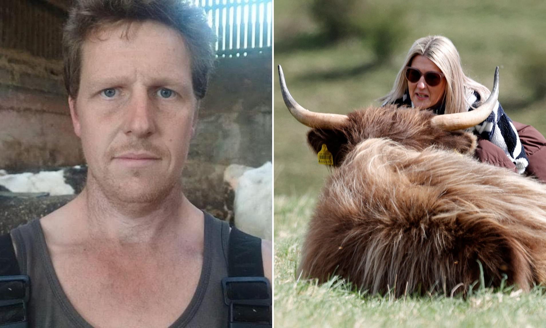 Farmer vows to crossbreed Highland cows to make them 'less photogenic' in  bid to stop influencers