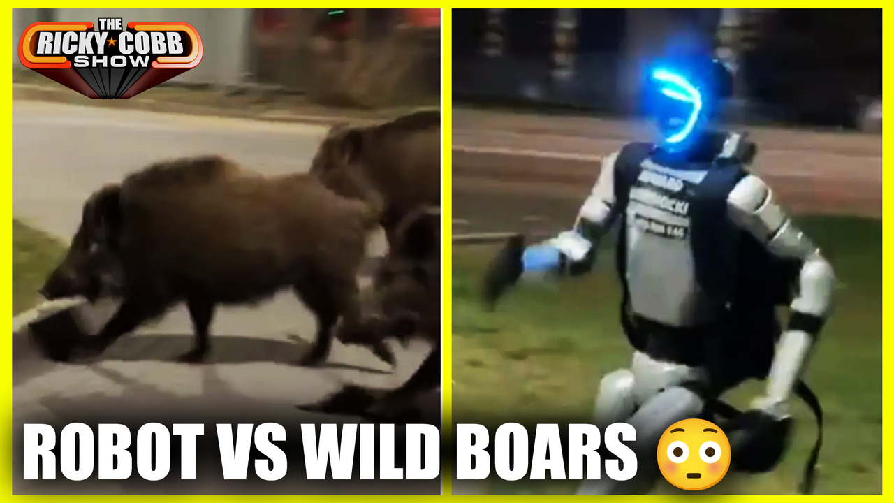 Robot vs wild boars... this is real scary for the future | The Ricky ...