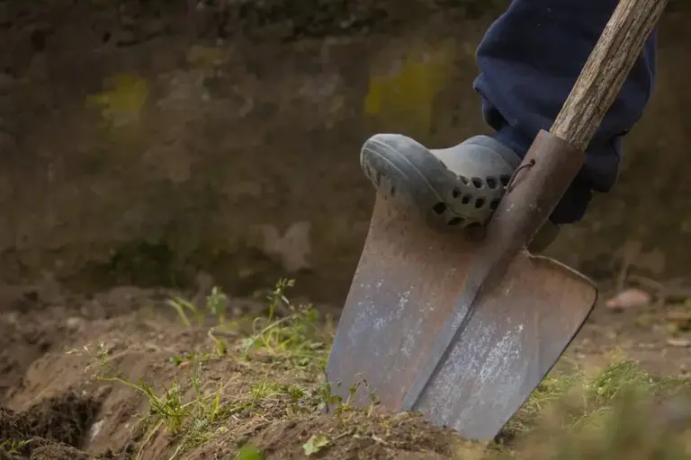 9 essential tools every home gardener actually needs