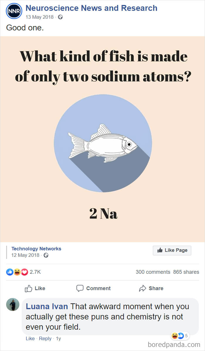 16 ‘Smart’ People Who Showed Off Their IQ And Made Fools Of Themselves