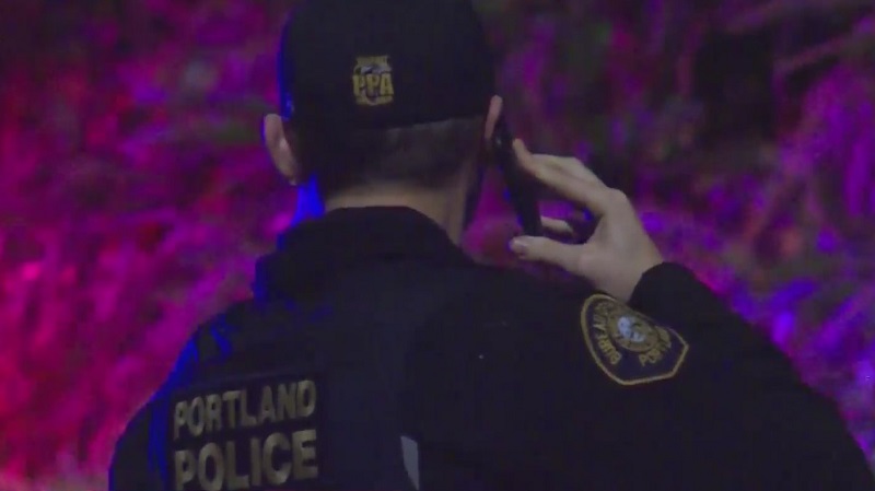 TriMet bus driver cited after crash that left pedestrian hospitalized