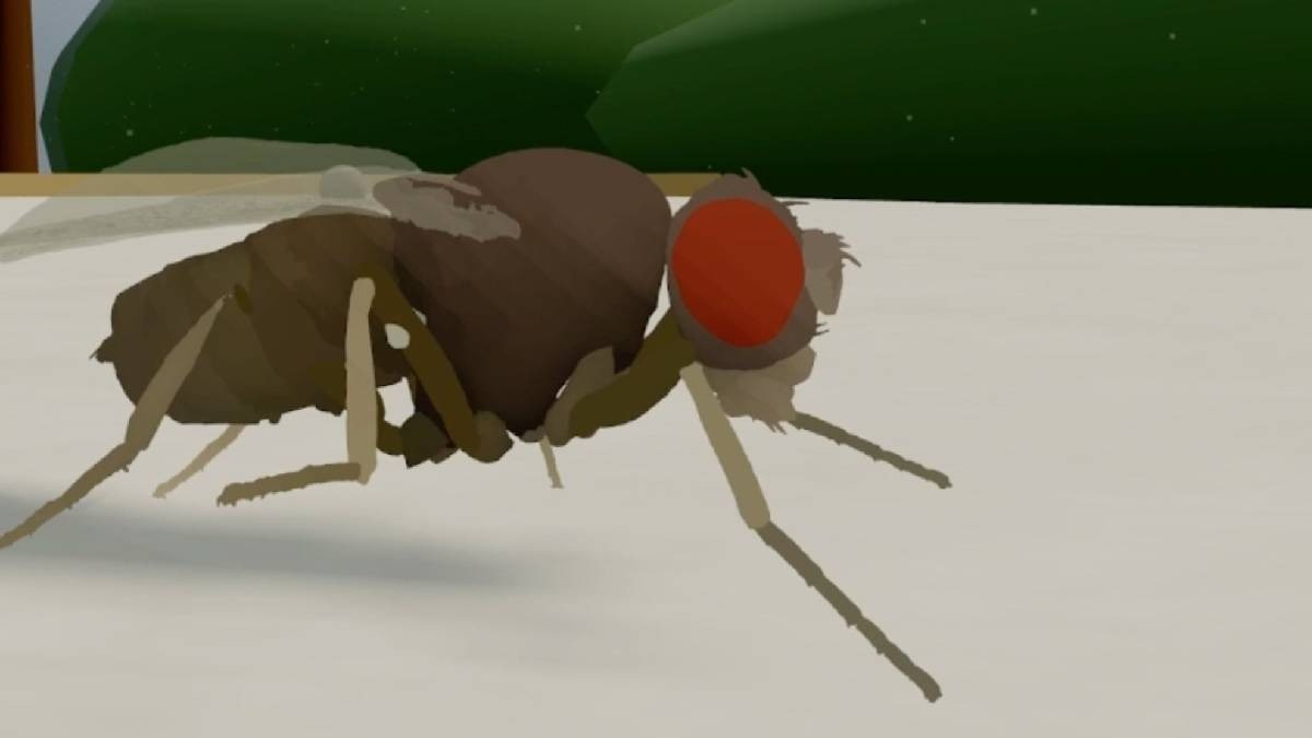 Scientists put fly brain in AI and it worked, they want to simulate ...