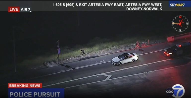 Driver fleeing cops makes death-defying escape from moving car during ...