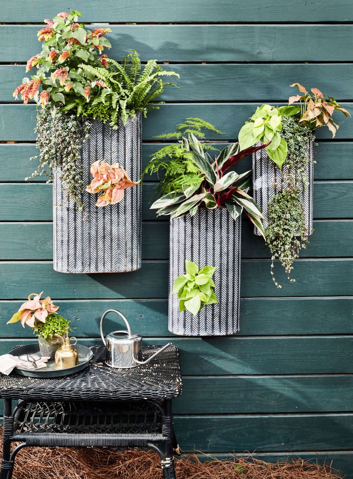 Metal Wall Hanging Container Garden with Summer Plants
