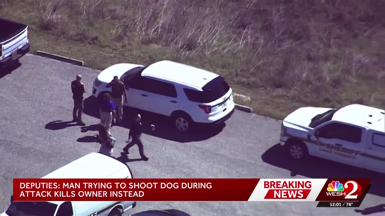 Man trying to shoot dog during attack kills owner instead, Florida ...