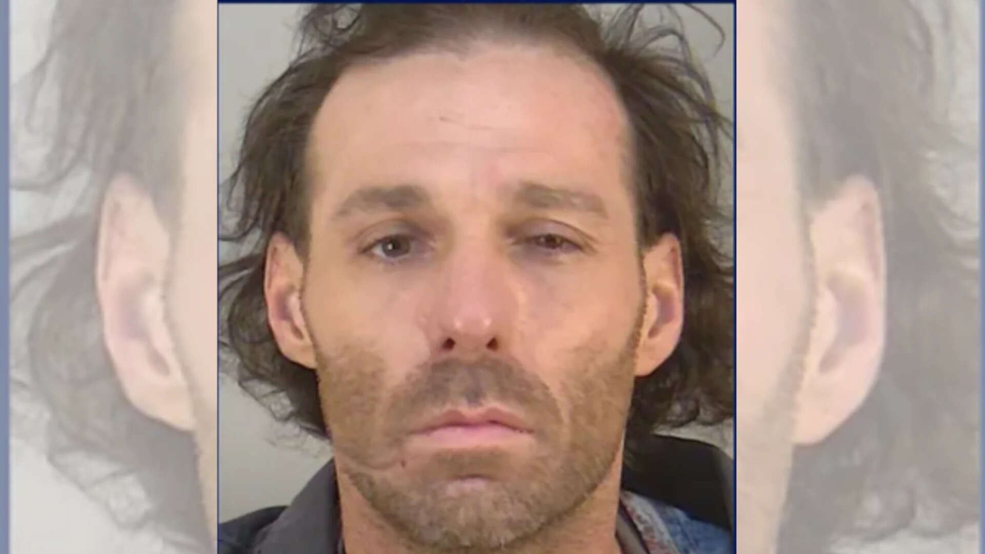 Florida man kills dog owner while trying to shoot his pet animal that ...