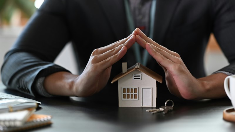 Renter finds a dream apartment only to discover that the landlord is a ...