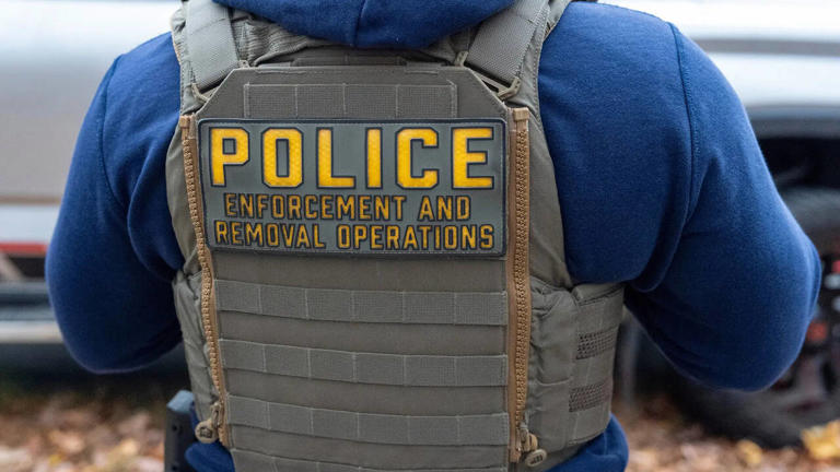 Issues identified in background checks of newly hired ICE officers