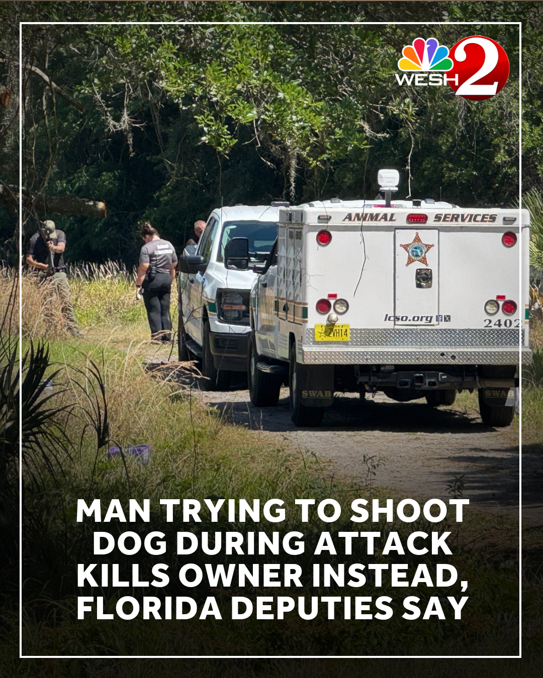 Man trying to shoot dog during attack kills owner instead, Lake County ...