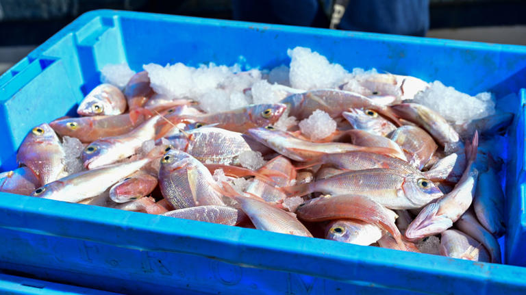 10 signs you're eating at a quality seafood restaurant