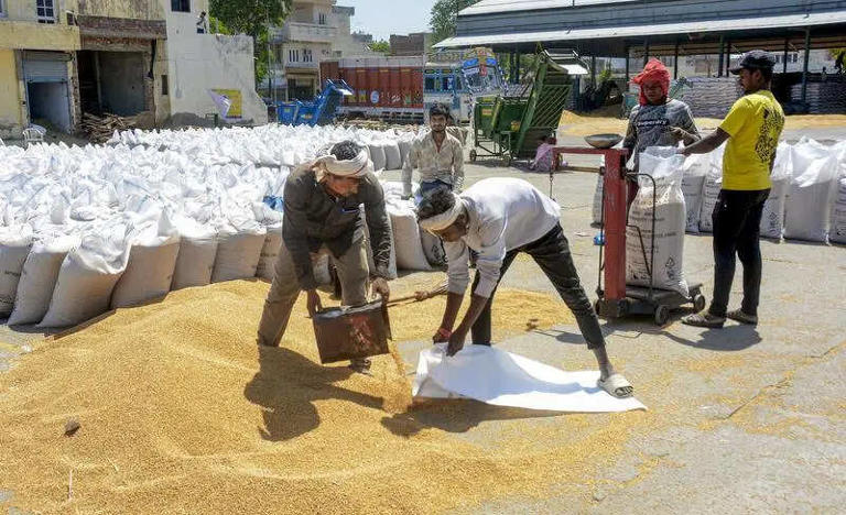 Centre relaxes wheat procurement norms for Punjab